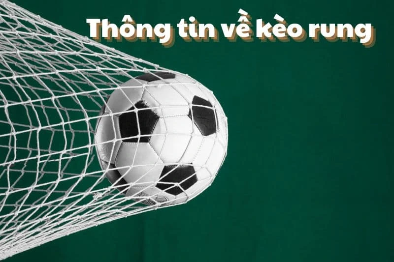 Kinh nghiệm chơi kèo rung hiệu quả