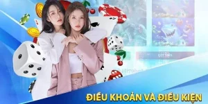 Điều khoản và điều kiện